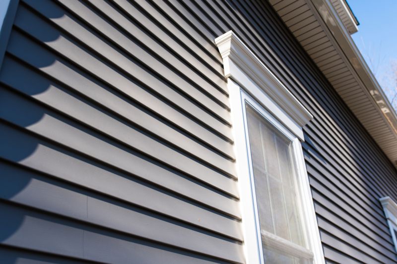 Vinyl Siding in Residential Homes